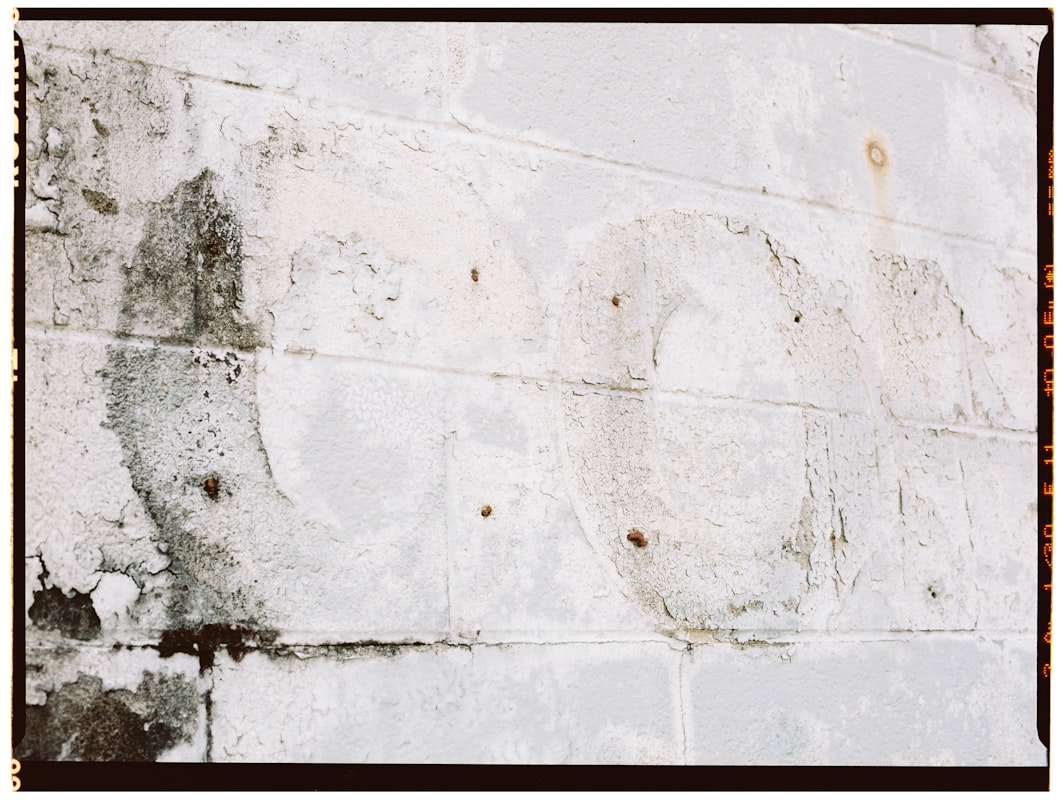 Basement Water Removal service in Springdale, AR