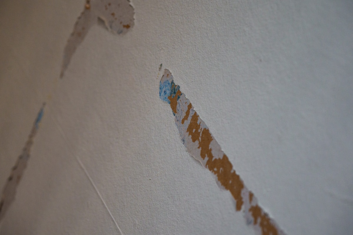 Sewage Cleanup service in Springdale, AR